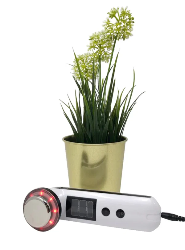 Ritzy EMS and LED Device - Image 3